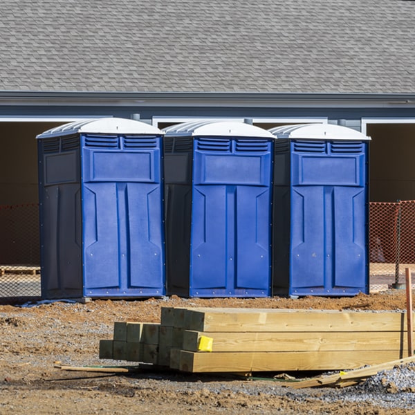 how often are the porta potties cleaned and serviced during a rental period in Ten Mile